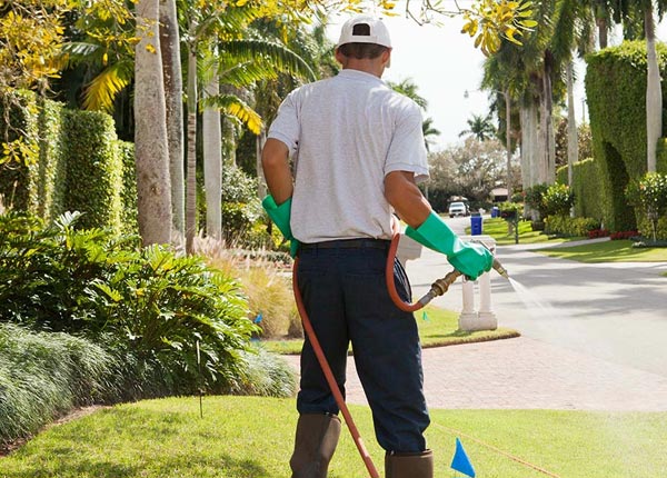 About Winchester IN Pest Control